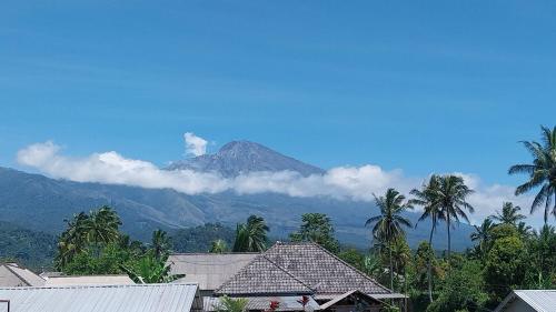 a mountain in the distance with palm trees and houses at Raturinjani homestay in Selong