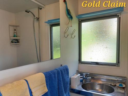 łazienka z umywalką i ptakiem na oknie w obiekcie Charleston Goldfields Accommodation w mieście Charleston