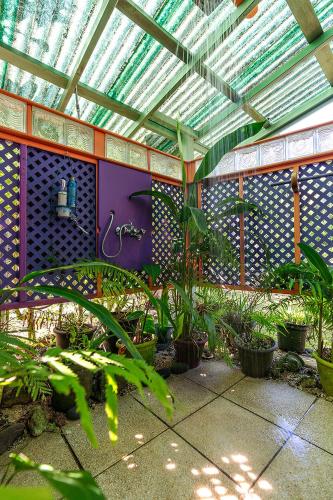 a greenhouse with a bunch of plants in it at Heimanarii's Lodge - Fare Fetia in Haapiti