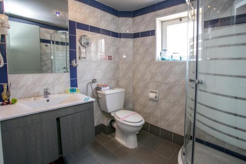 La salle de bains est pourvue de toilettes, d'un lavabo et d'une douche. dans l'établissement Thalassies, à Limenaria