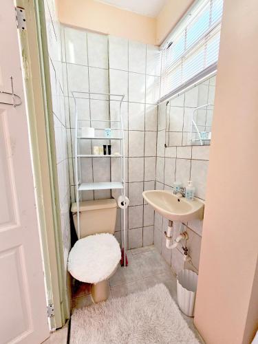 a small bathroom with a sink and a toilet at C&M Suites in Roseau