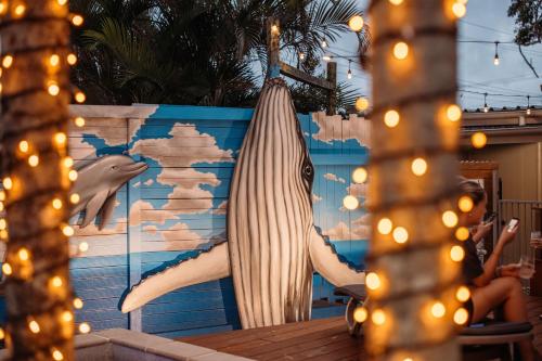 Πισίνα στο ή κοντά στο Noosa Flashpackers