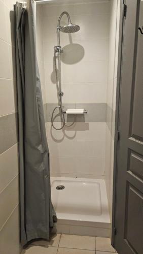 een badkamer met een douche en een wit bad bij Logement au calme, avec vue dégagée in Ardoix