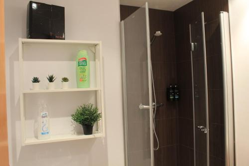 a bathroom with a shower with a bottle of soap and plants at Oasis Pirineos in Formigal