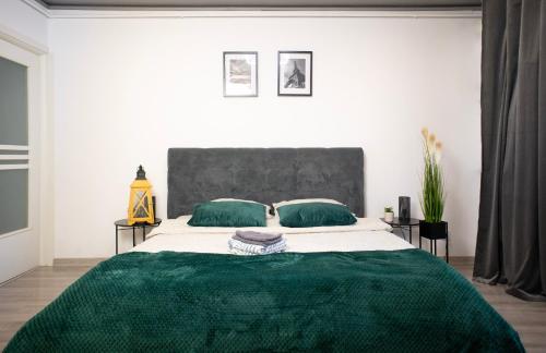 1 dormitorio con 1 cama grande y 2 almohadas verdes en Best Studio Central, en Hunedoara