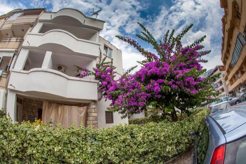 Gallery image of Guest House Violet in Becici