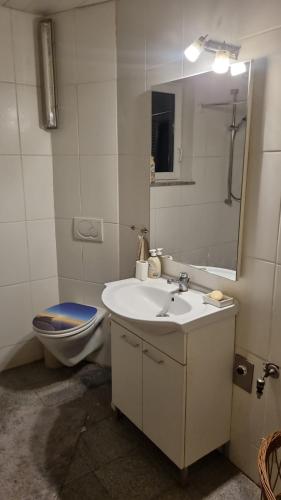 a bathroom with a sink and a toilet and a mirror at Gästezimmer Lea mit Gemeinschaftsbad in Hausbreitenbach