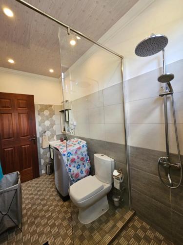 a bathroom with a toilet and a shower at Villa Aahana - Flic en Flac in Flic-en-Flac