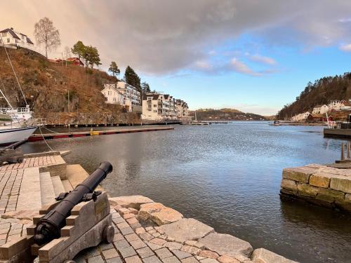 a cannon on the side of a river with buildings at Familievennlig Apartament in Tvedestrand
