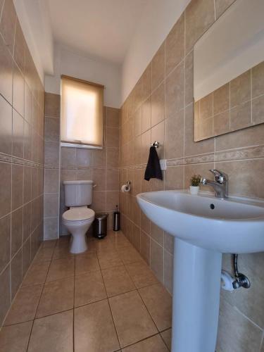 a bathroom with a sink and a toilet at Villa Prengos 7 in Neo Chorio