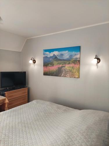 TV a/nebo společenská místnost v ubytování Pokoje gościnne Centrum Brzozowa 14