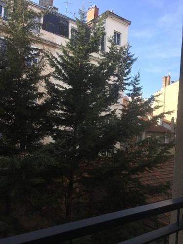 un groupe d'arbres devant un bâtiment dans l'établissement Le Vendôme, à Lyon