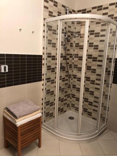 una doccia con box in vetro in un bagno di Apartman priamo na svahu a Donovaly