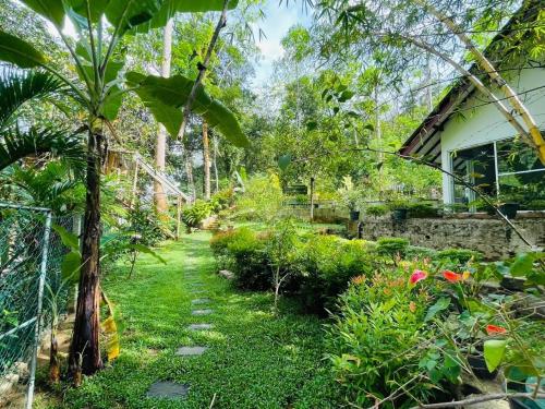 un jardín con una palmera y una casa en Arcadea Eco Lodge, 