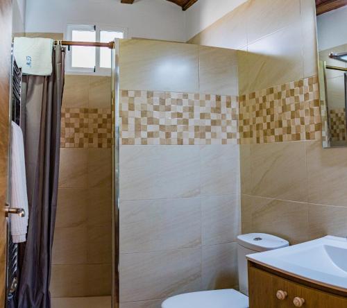 uma casa de banho com um chuveiro e um WC. em Félix Romero II em Castril