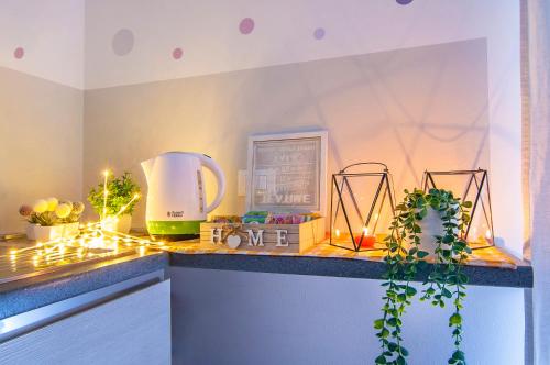a kitchen with a counter top with plants on it at Borgo Trento Home, vicinissimo ospedale Borgo Trento e centro storico in Verona
