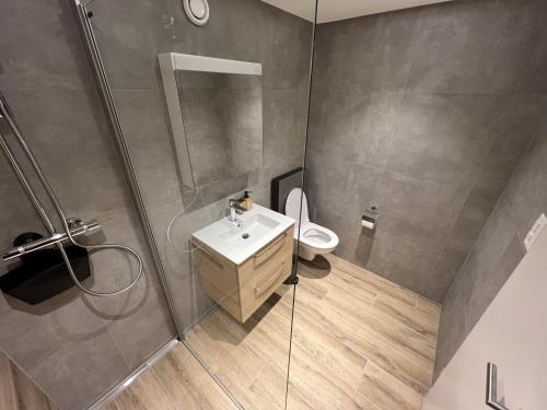 a bathroom with a shower and a sink and a toilet at Magnifique appartement rénové in Saas-Fee