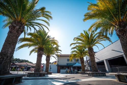 a group of palm trees in front of a building at Camping Village Le Vieux Port***** in Messanges