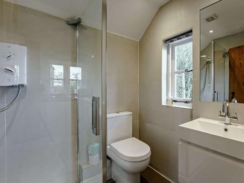 a bathroom with a toilet and a shower and a sink at 1 bed in Wittersham 49942 in Wittersham