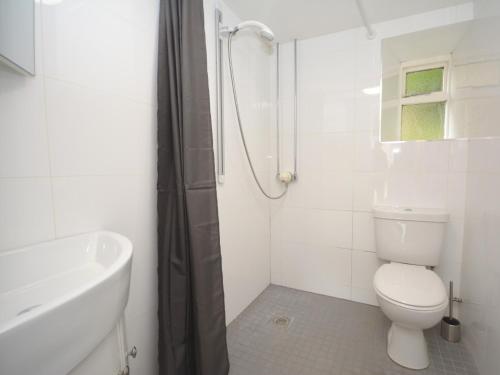 a white bathroom with a toilet and a shower at 1 Bed in Porthgain 61170 in Porthgain