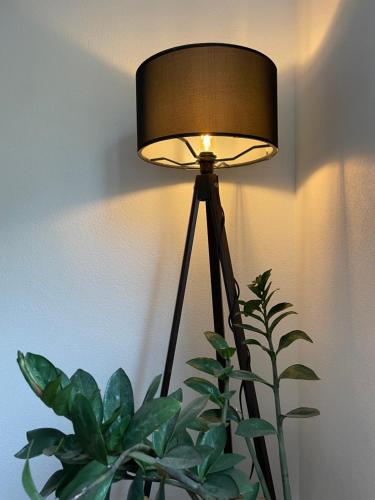 a lamp with a plant next to a wall at Haus 11 in Oberkirch