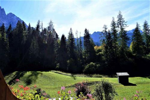 a green field with trees and mountains in the background at ZIRBENNEST Martha in Biberwier