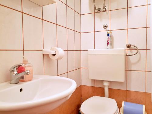 a bathroom with a sink and a toilet at Apartments Brebric in Šilo