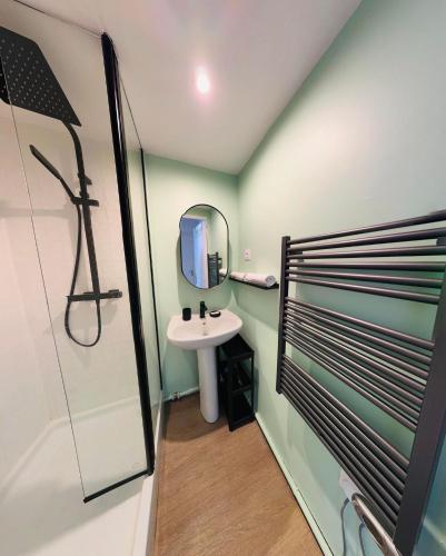 une petite salle de bain avec un lavabo et un miroir dans l'établissement Le poulpe du port, à Marseille