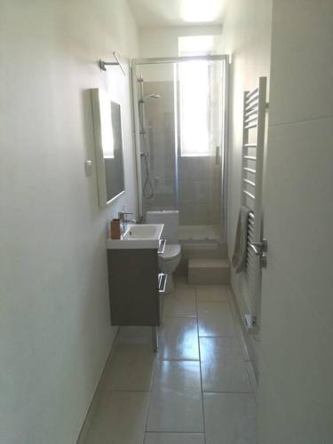 une salle de bain avec un lavabo, une douche et un miroir dans l'établissement Spacieux 4 pièces de type bourgeois Art-déco, à Nice