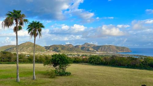 two palm trees in a field next to the ocean at Quill Gardens Boutique Hotel in Oranjestad
