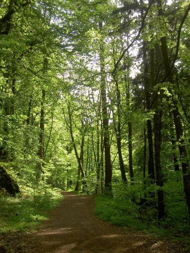 Un paisaje natural cerca de la casa de huéspedes