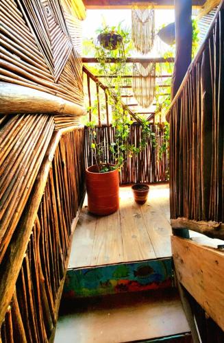 a room with potted plants on a wooden floor at Cristal Blue Barú in Baru