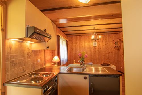 Dapur atau dapur kecil di Residenz Edelweiss SAAS311