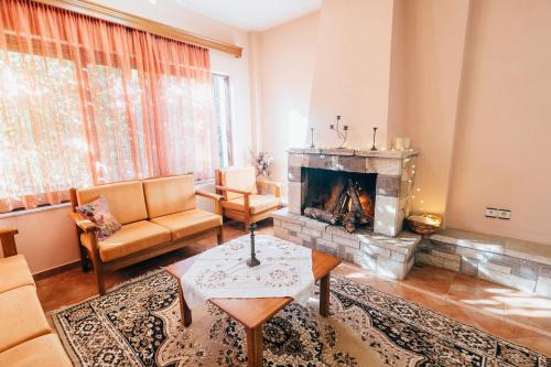 PlanitéronにあるMountain Hotels "Achais"のソファと暖炉のあるリビングルーム
