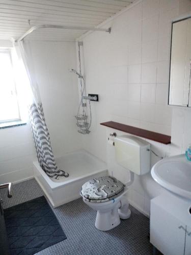 uma casa de banho com um WC, um chuveiro e um lavatório. em Ferienwohnung Pullinger Fliegenfischerschule em Blaibach