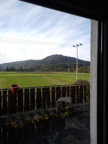 uma vista para um campo a partir de uma janela com um banco em Ferienwohnung Pullinger Fliegenfischerschule em Blaibach