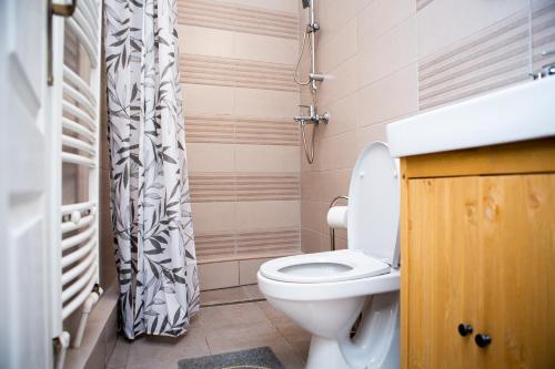 a bathroom with a toilet and a shower curtain at Maier Apartment Cisnadie in Cisnădie