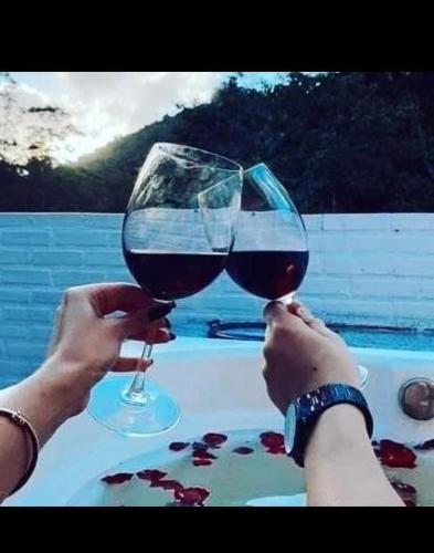 a person holding up a glass of red wine at Pousada Som de Lumiar in Lumiar