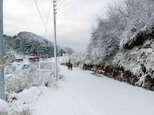 a group of people walking down a snow covered street at LA Riqueza Dhanolti View # Mountain View Rooms # Parking # Lift # Near to Eco Park & Surkanda Devi Temple in Dhanaulti