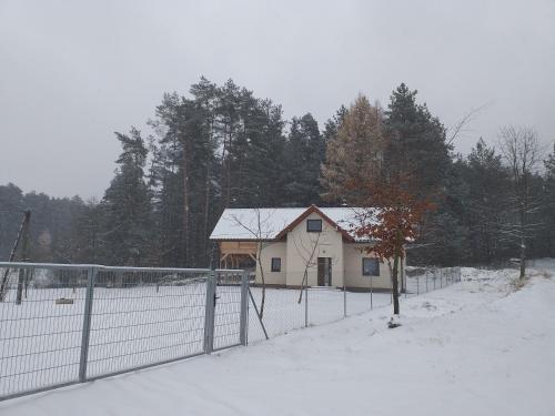 Το Pod lasem u Surajów τον χειμώνα