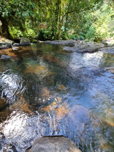 a stream of water with rocks in a forest at JAYANDRA HOLIDAY BUNGALOW in Waga