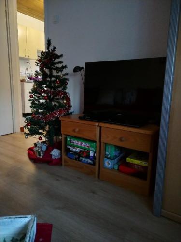 a living room with a christmas tree and a television at Holiday House Provance in Brod na Kupi