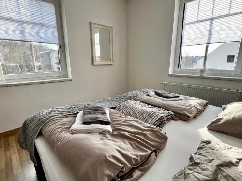米勞的住宿－Göltzschtal Apartment，一间卧室配有两张带毛巾的床