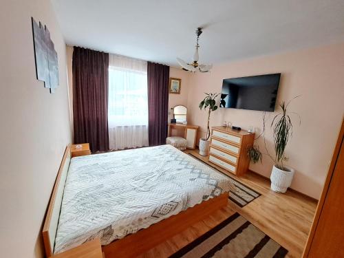 a bedroom with a large bed and a television at Guest House Freya in Beli Iskar