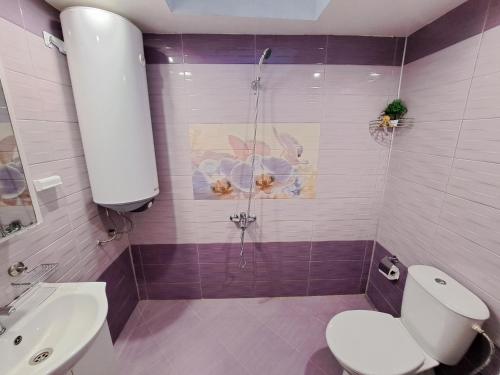 a bathroom with a shower and a toilet and a sink at Guest House Freya in Beli Iskar