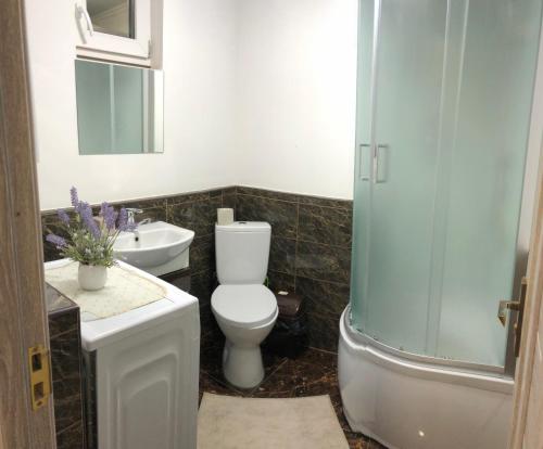 La salle de bains est pourvue de toilettes, d'un lavabo et d'une douche. dans l'établissement Будинок з лазнею, à Mijgiria