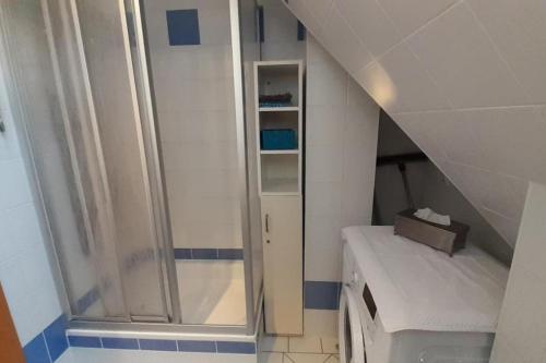 Cette chambre comprend une petite salle de bains pourvue d'une douche. dans l'établissement FeWo Namenlos gemuetliche FeWo fuer 3 Personen mit Balkon, à Born