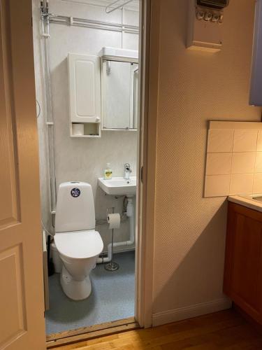 a bathroom with a toilet and a sink at Lilla Hotellet in Sundsvall