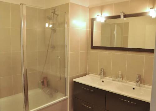 uma casa de banho com um chuveiro, um lavatório e uma banheira em Le Vendôme - Shared Appartment em Lyon