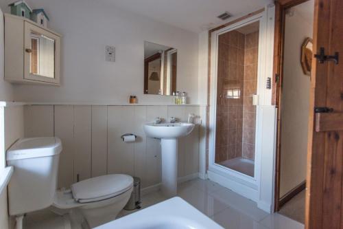 a bathroom with a toilet and a sink and a shower at The Granary in Hartland